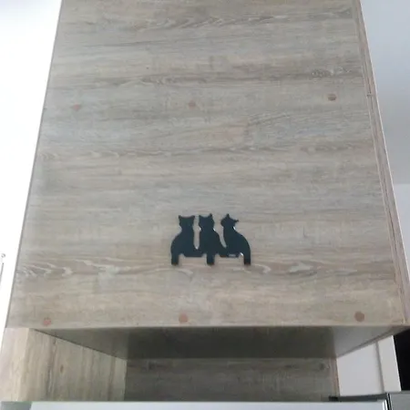 Apartment Studio Andrei Brasov