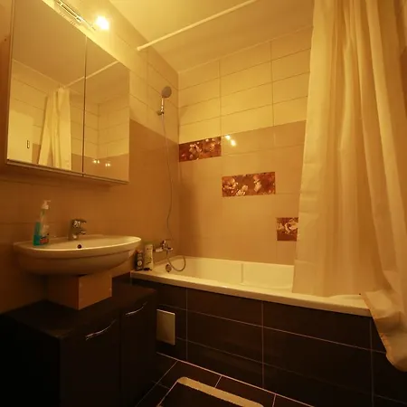 Studio Andrei Apartment *