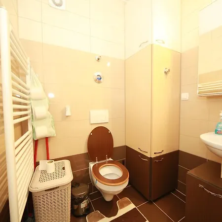 Studio Andrei Apartment Brasov