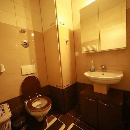 Studio Andrei Apartment
