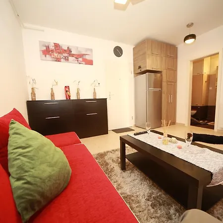 Studio Andrei Apartment *