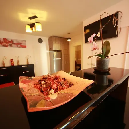 Studio Andrei Apartment Brasov