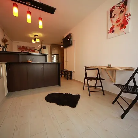 Apartment Studio Andrei *